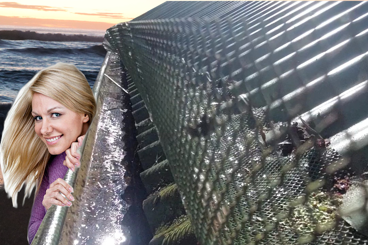 
Curious batemansbay Woman Peeks at Gutter Guard-Covered Gutter