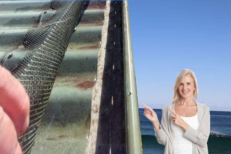 
batemansbay Woman`s Excitement Evident After Cleaning Under Gutter Guards